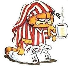 garfield.jpeg
